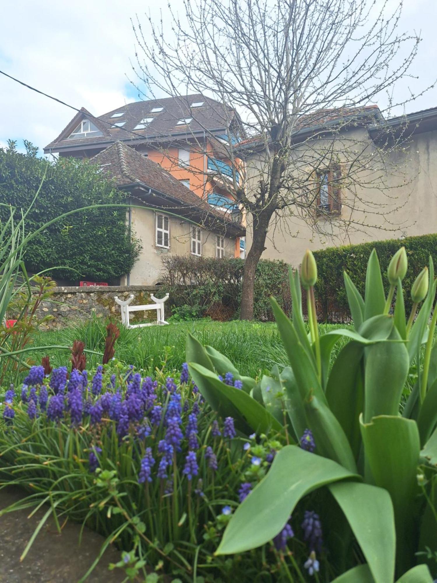 Apartmán Chez Eric - L'Atypique Rumilly  Exteriér fotografie